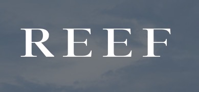 Reef Capital
